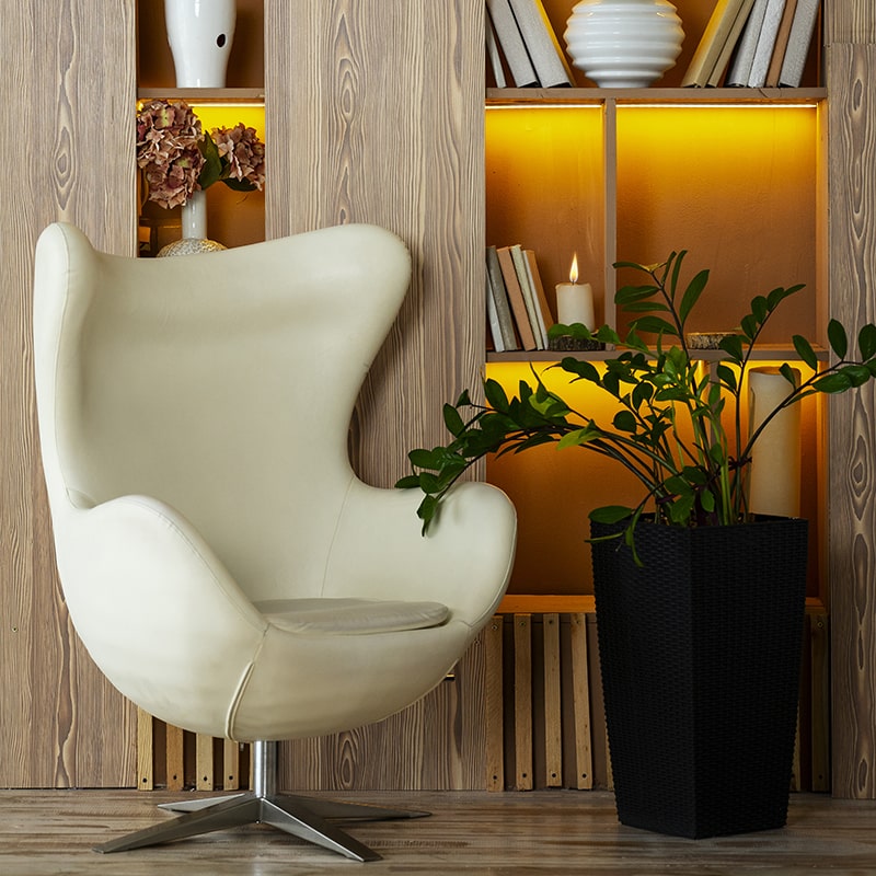Interior Room Design with an Armchair and Potted Plants