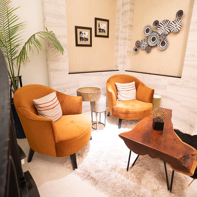 Modern Luxury Furniture  Premium Interior